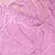 Bali® Lace Desire™ Women`s Underwire Bra
