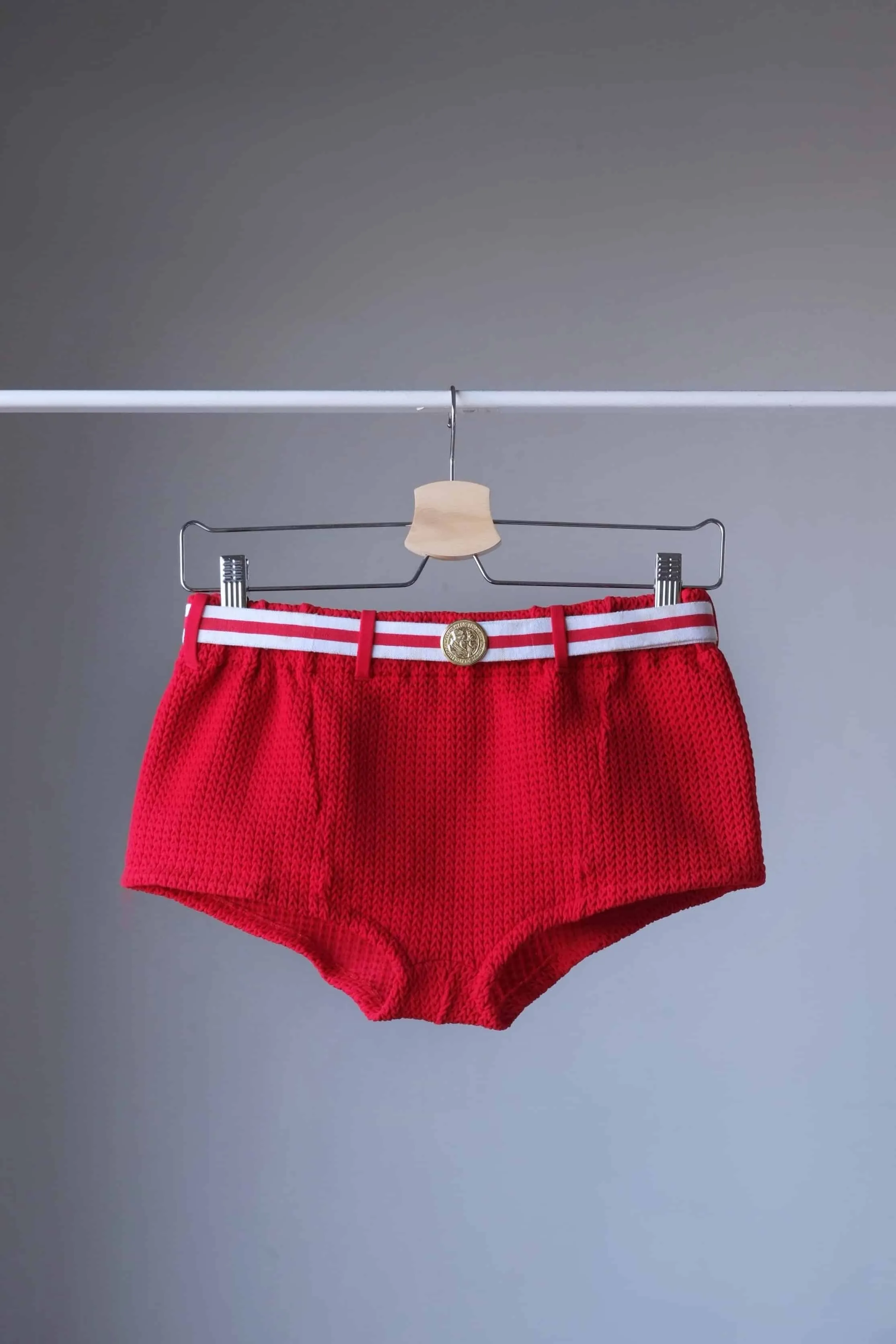 DIPLOMATE 60's Knit Swim Briefs