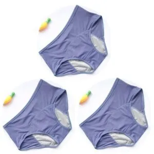Leak-proof Women's Menstrual Briefs Before And After