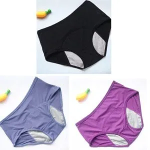 Leak-proof Women's Menstrual Briefs Before And After